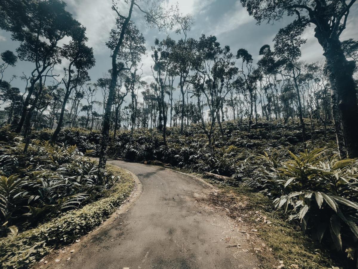 Mystic Mayapott, Thekkady Ngoại thất bức ảnh