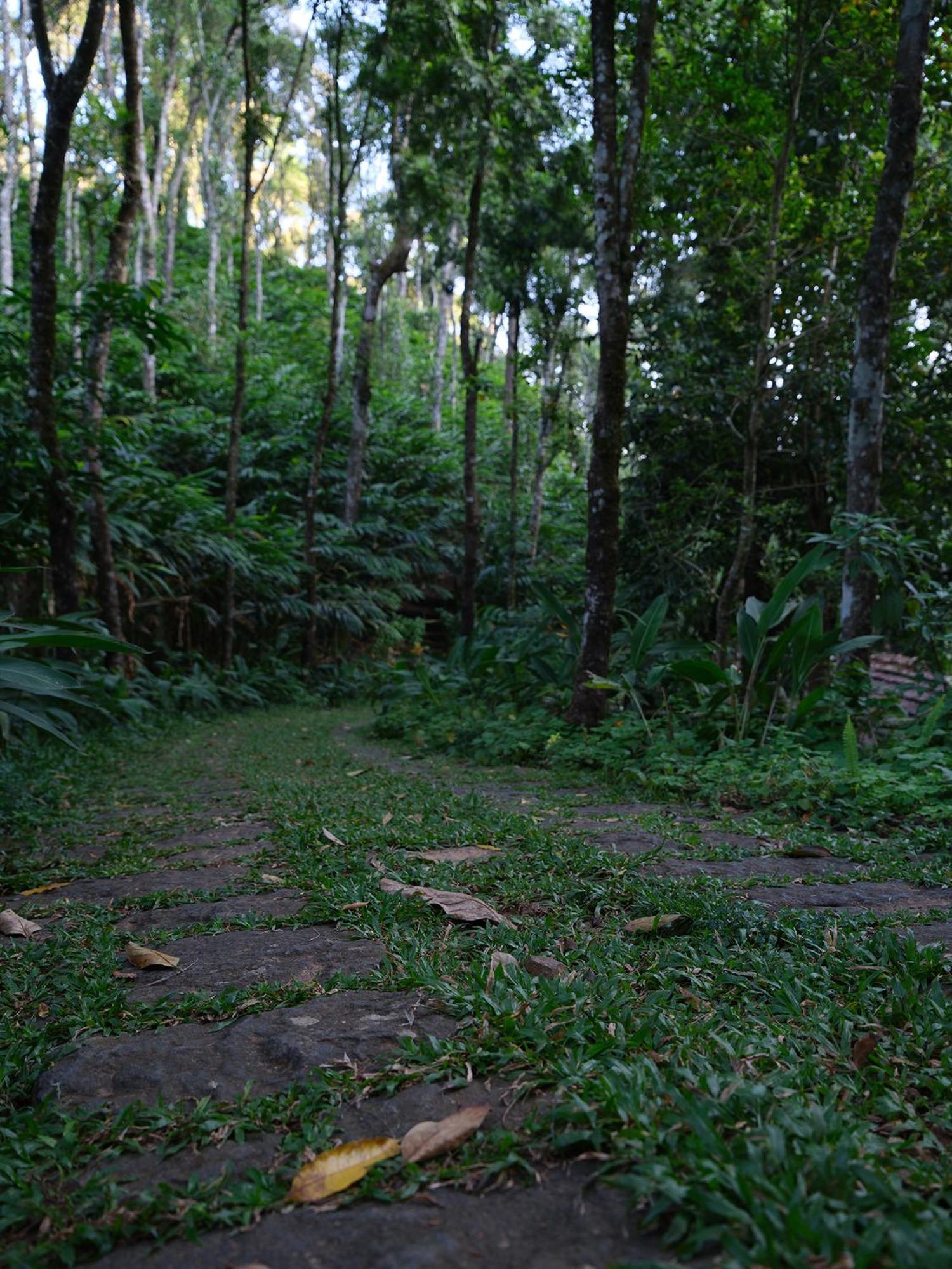 Mystic Mayapott, Thekkady Ngoại thất bức ảnh