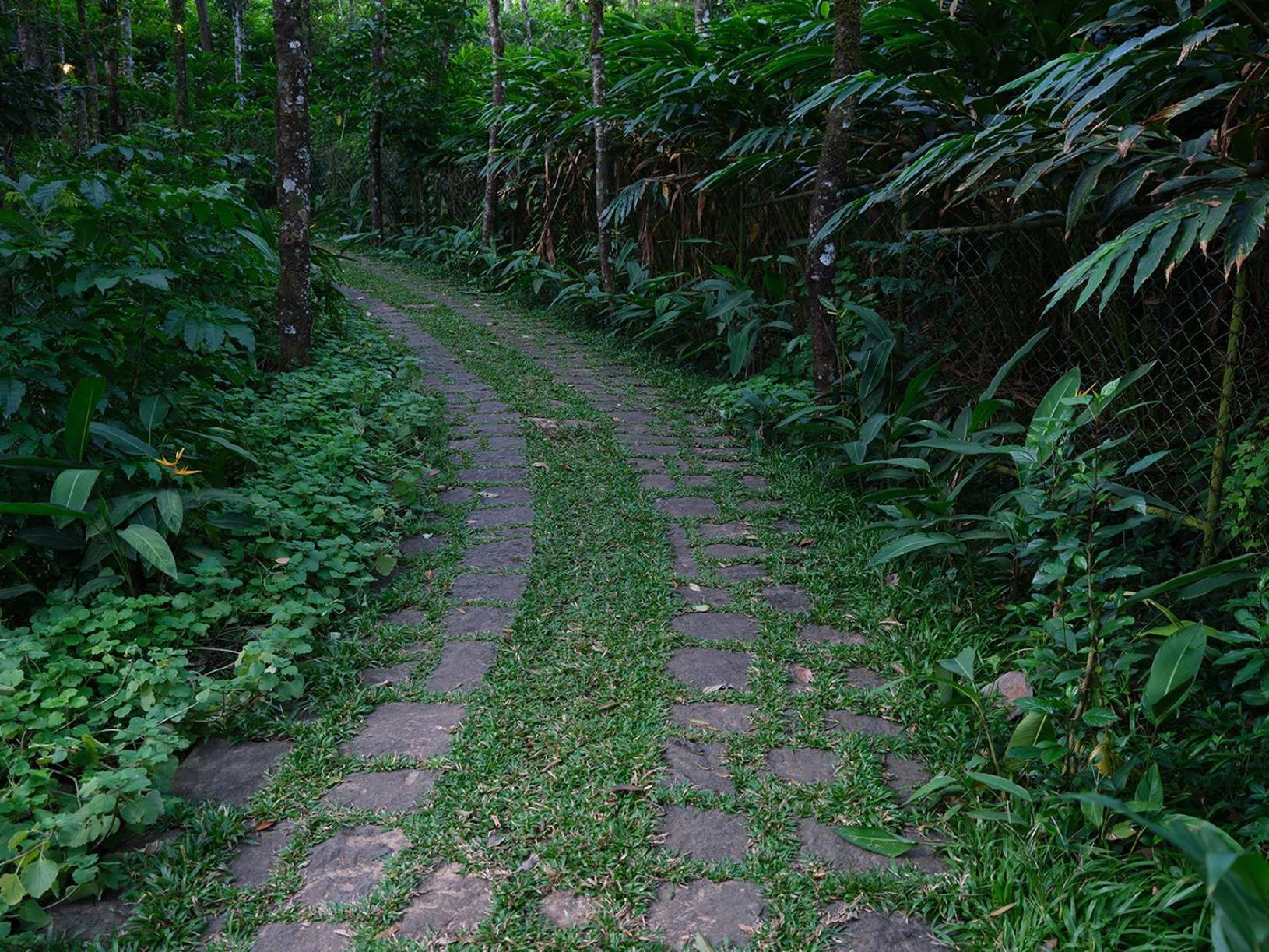 Mystic Mayapott, Thekkady Ngoại thất bức ảnh