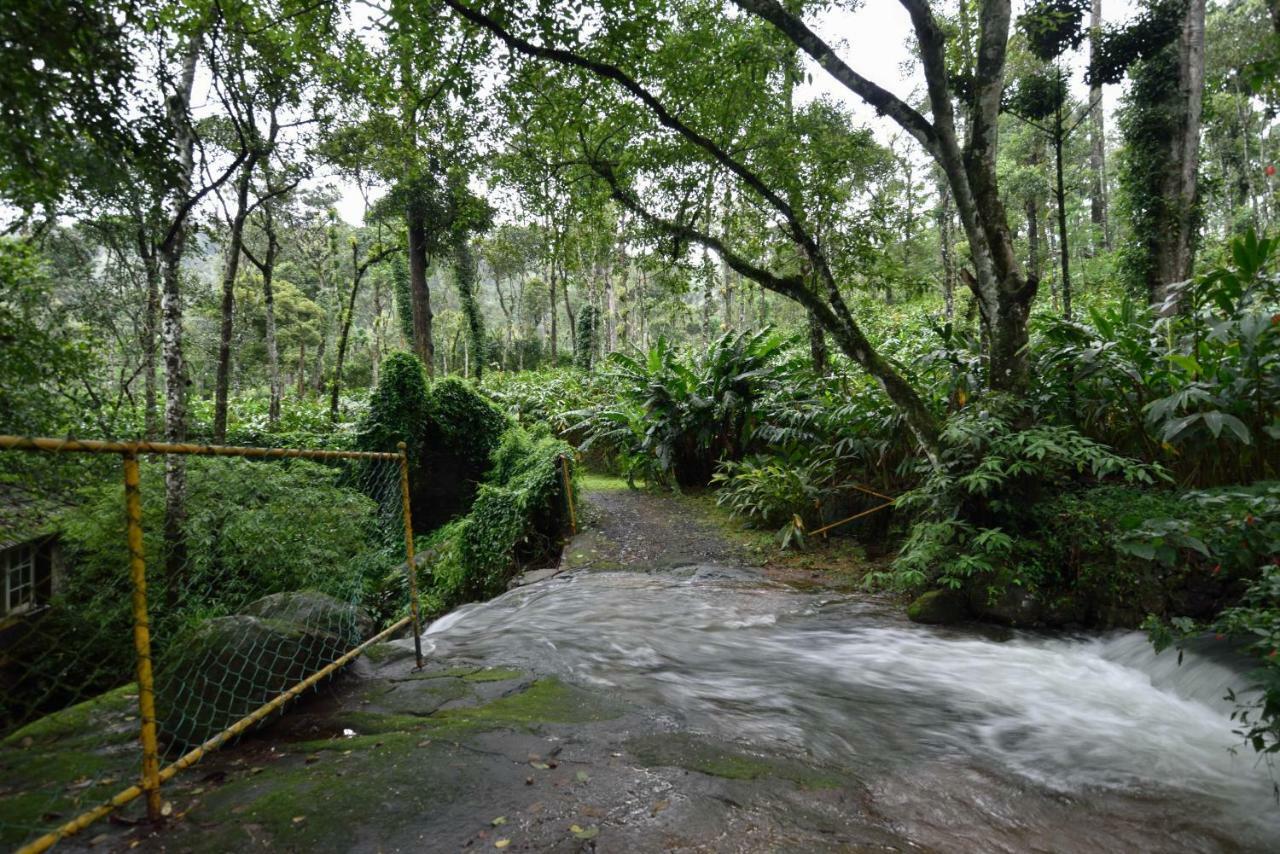 Mystic Mayapott, Thekkady Ngoại thất bức ảnh