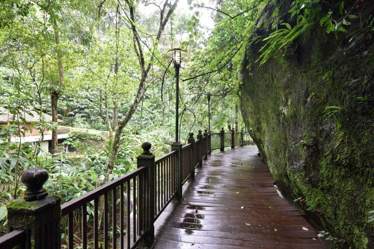 Mystic Mayapott, Thekkady Ngoại thất bức ảnh